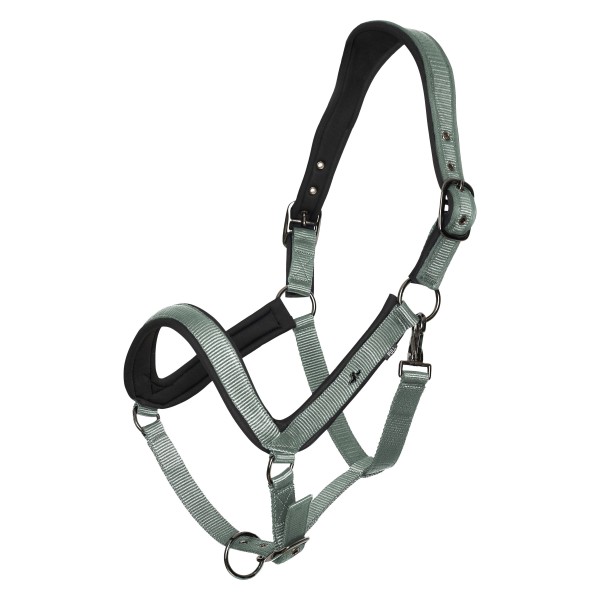 HV Polo Halfter HVPEssential