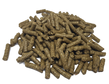 Hotte Maxe Kräuterheu Leckerli Pellets Rote Beete
