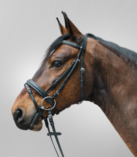 Waldhausen Trense Diamond