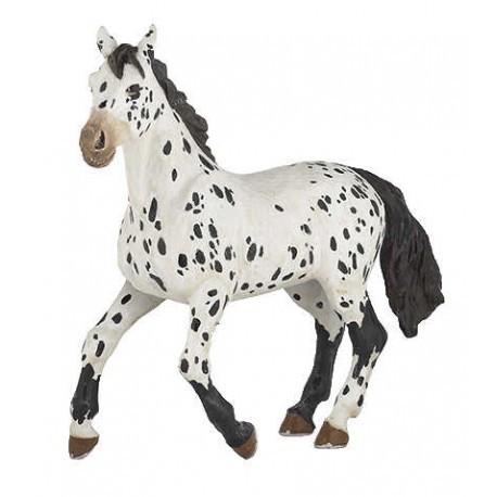 PAPO - Appaloosa Black
