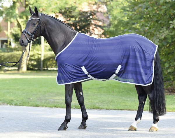 Buss. Fliegendeck Stripe