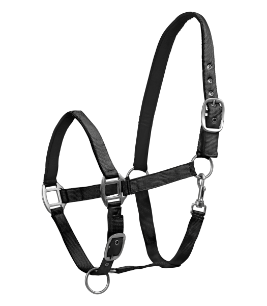 Waldhausen Perlonhalfter Satin