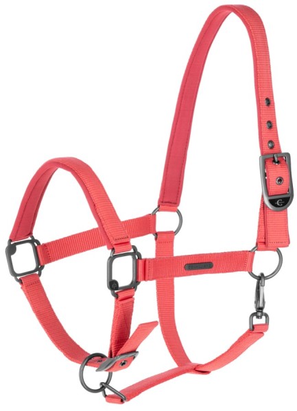 Covalliero Halfter F/S 2025