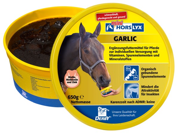 Derby Horslyx Garlic