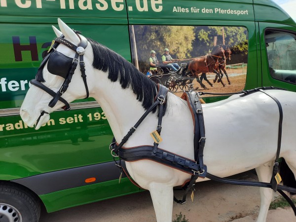 Zweispänner Geschirr Bella Donna