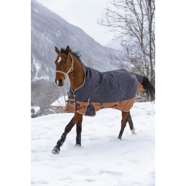 Equit. Tyrex Weidedecke