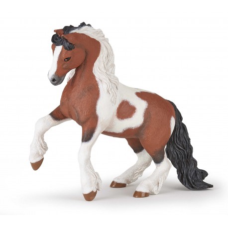 PAPO - Irish Cob
