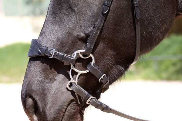 Barefoot Hackamore Bitless Bit