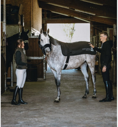 Equitheme Heated Rückenwärmer