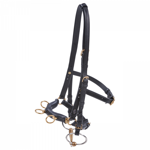 Busse Kappzaum Professional