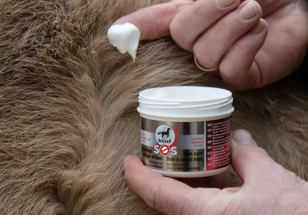 Leovet SOS Salbe bei Milben