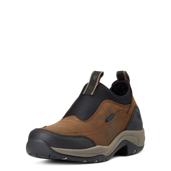 Ariat Boot Terrain Easy H20