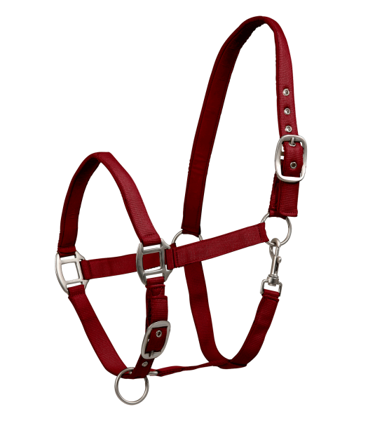 Waldhausen Halfter Satin