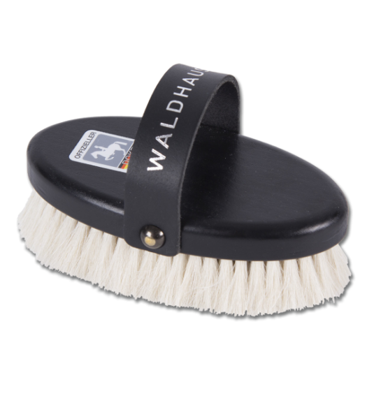 Wald DOKR Glanzbürste